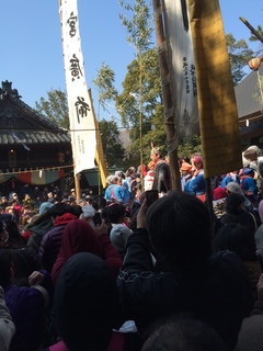 写真 2015-02-11 12 02 41.jpg