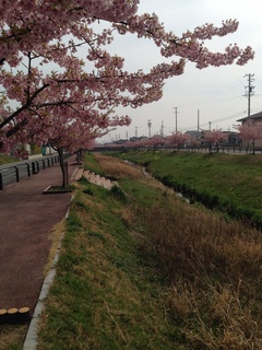 写真 2015-03-18 14 38 31.jpg