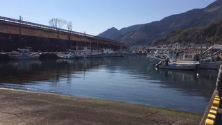 写真 2015-04-05 19 52 05.jpg