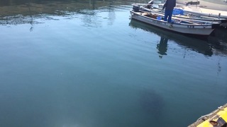 写真 2015-04-16 0 31 19.jpg