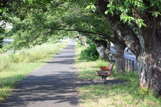 写真 2015-05-24 16 30 20.jpg