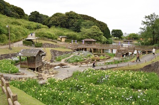 写真 2015-06-07 16 37 41.jpg