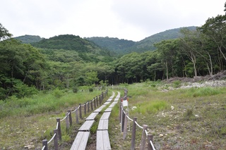 写真 2015-06-14 14 52 24.jpg