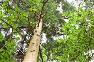 写真 2015-06-14 15 29 30.jpg