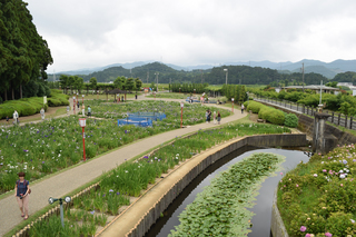 写真 2015-06-14 17 03 33.jpg