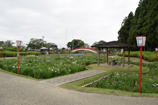 写真 2015-06-14 17 05 58.jpg