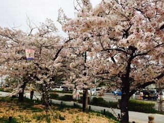 写真 2016-04-06 15 07 51.jpg