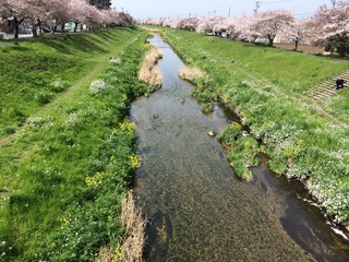 写真 2016-04-09 9 56 41.jpg