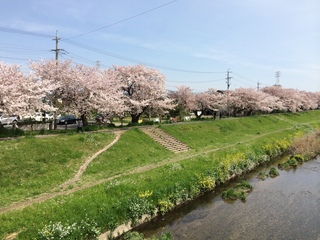 写真 2016-04-09 9 57 21.jpg