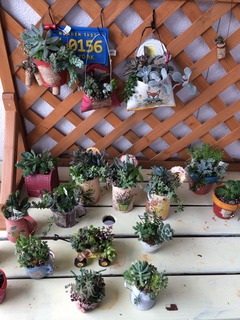 写真 2016-07-17 15 53 14.jpg