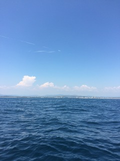 写真 2016-07-31 13 11 00.jpg