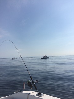 写真 2016-07-31 8 22 08.jpg