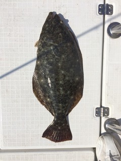 写真 2016-07-31 8 40 26.jpg