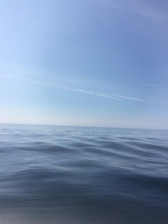 写真 2016-07-31 8 48 59.jpg