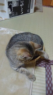 写真 2017-01-28 20 50 22.jpg