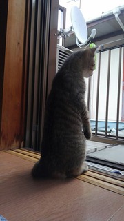 写真 2017-01-28 20 50 47.jpg