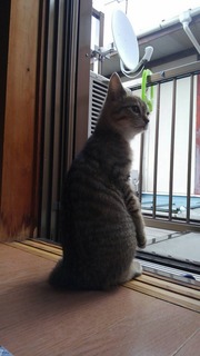 写真 2017-01-28 20 50 52.jpg