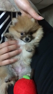 写真 2017-03-07 21 30 40.jpg