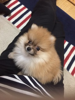 写真 2017-03-07 23 29 18.jpg