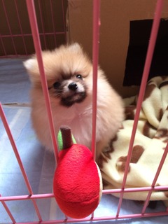 写真 2017-03-08 12 06 20.jpg