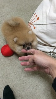 写真 2017-03-08 19 37 01.jpg