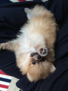 写真 2017-03-10 12 34 34.jpg