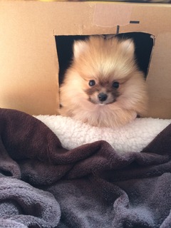 写真 2017-03-10 13 01 43.jpg