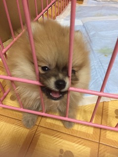 写真 2017-03-10 23 57 54.jpg