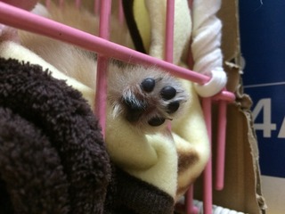 写真 2017-03-11 0 08 49.jpg