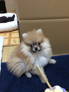 写真 2017-03-16 19 57 40.jpg