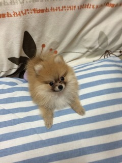 写真 2017-03-24 23 00 49.jpg