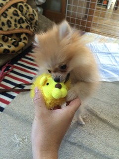 写真 2017-04-30 16 40 10.jpg