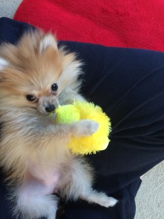 写真 2017-04-30 16 47 07.jpg