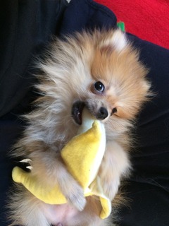 写真 2017-04-30 16 48 18.jpg