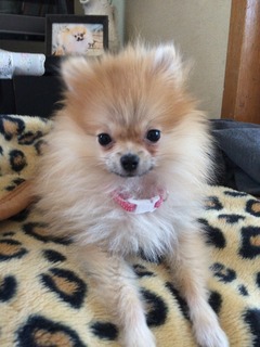 写真 2017-05-05 12 32 58.jpg