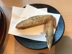 写真 2017-05-20 18 36 40.jpg