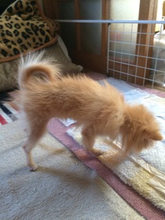 写真 2017-05-28 17 45 20.jpg