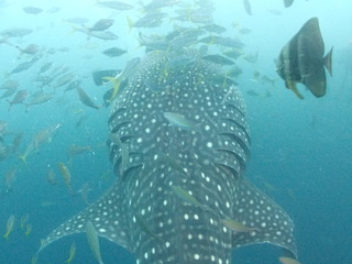 写真 2017-06-16 15 38 59.jpg