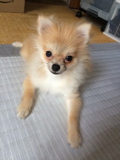 写真 2017-07-02 11 23 46.jpg