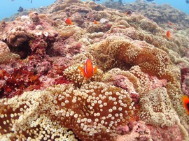 写真 2017-07-02 22 07 19.jpg