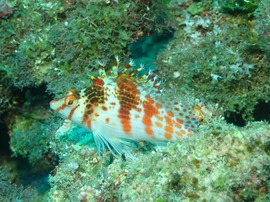 写真 2017-07-02 22 07 49.jpg