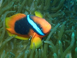 写真 2017-07-02 22 08 00.jpg