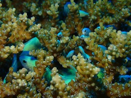 写真 2017-07-02 22 08 26.jpg