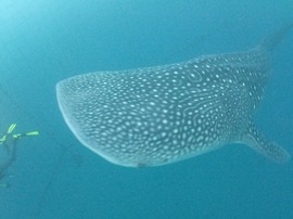 写真 2017-07-02 22 17 59.jpg