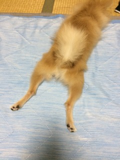 写真 2017-07-10 20 00 57.jpg