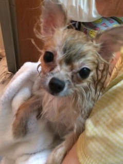 写真 2017-07-19 19 48 26.jpg