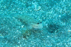 写真 2017-07-30 23 55 51.jpg