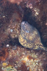 写真 2017-07-30 23 55 52.jpg