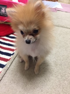 写真 2017-08-04 23 04 16.jpg