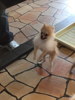 写真 2017-08-04 23 04 41.jpg